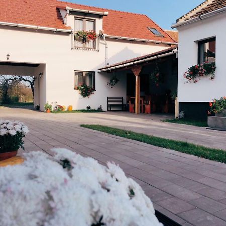 Casa Badea Hotel Riu Alb Zewnętrze zdjęcie