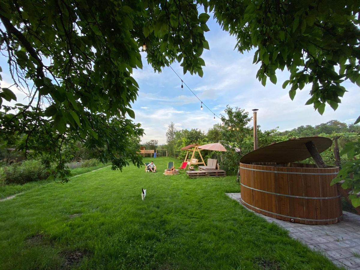 Casa Badea Hotel Riu Alb Zewnętrze zdjęcie