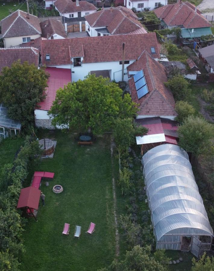 Casa Badea Hotel Riu Alb Zewnętrze zdjęcie