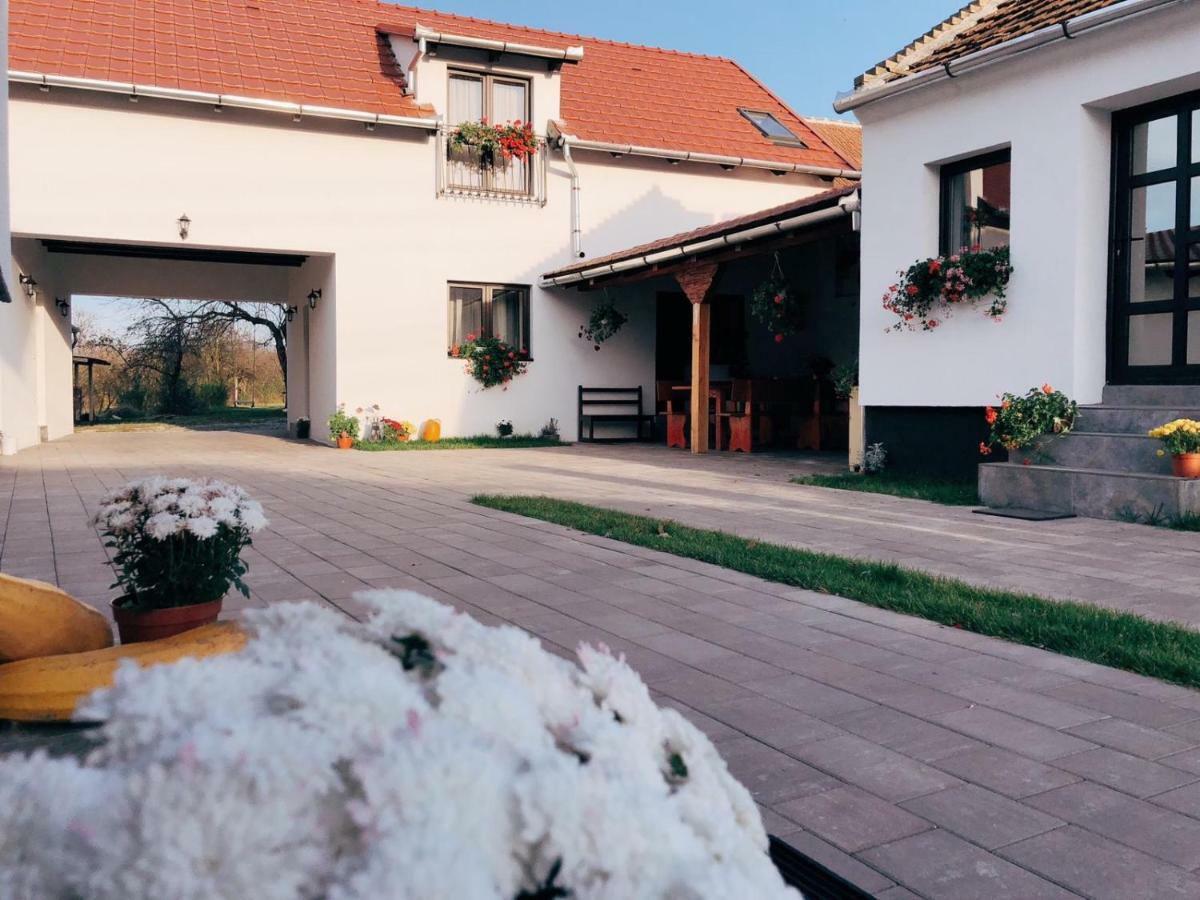 Casa Badea Hotel Riu Alb Zewnętrze zdjęcie